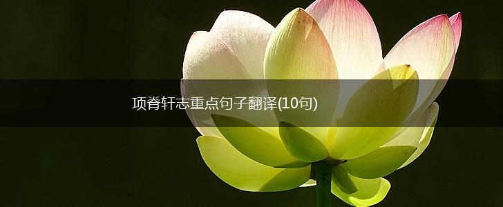 项脊轩志重点句子翻译(10句),第1张