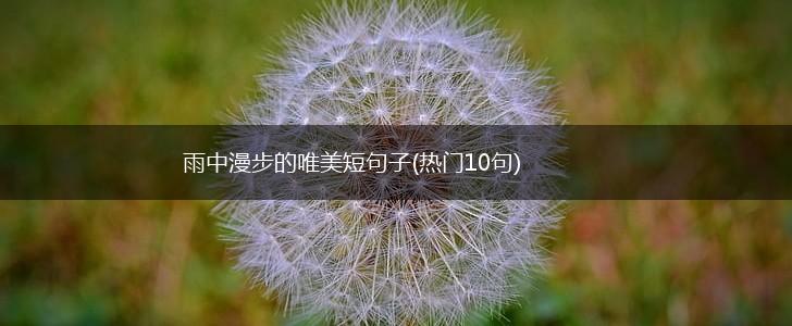 雨中漫步的唯美短句子(热门10句),第1张