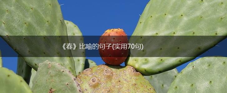 《春》比喻的句子(实用70句),第1张