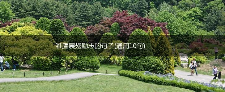 雏鹰展翅励志的句子(通用10句),第1张