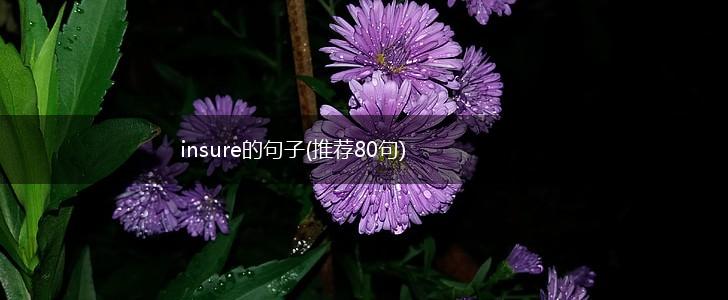 insure的句子(推荐80句),第1张