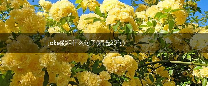joke能组什么句子(精选20句),第1张