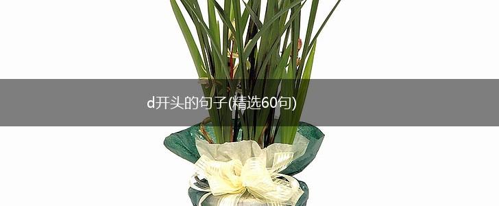 d开头的句子(精选60句),第1张