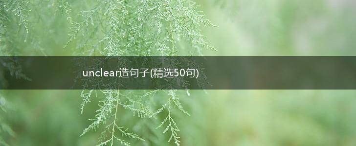 unclear造句子(精选50句),第1张