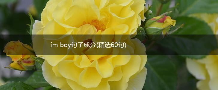 im boy句子成分(精选60句),第1张