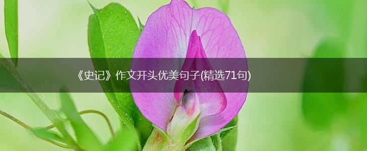 《史记》作文开头优美句子(精选71句),第1张
