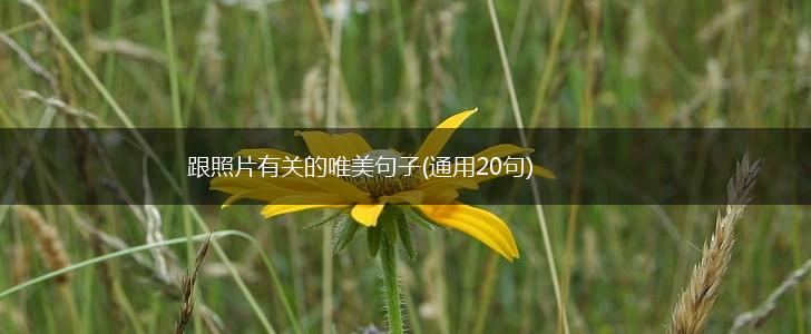 跟照片有关的唯美句子(通用20句),第1张