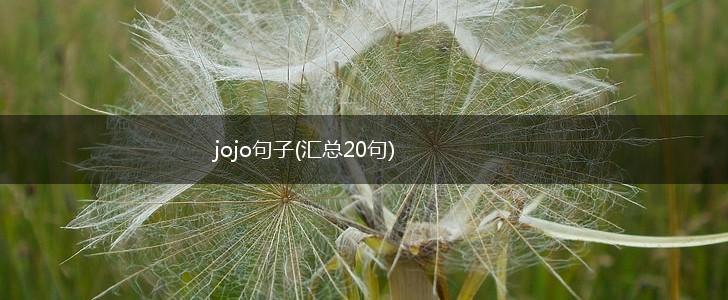 jojo句子(汇总20句),第1张