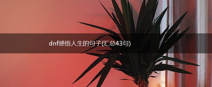 dnf感悟人生的句子(汇总43句),第1张