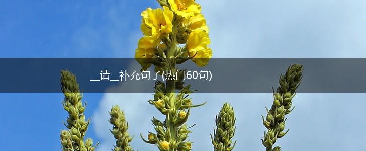 __请__补充句子(热门60句),第1张