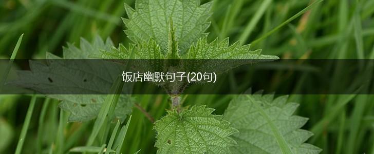 饭店幽默句子(20句),第1张