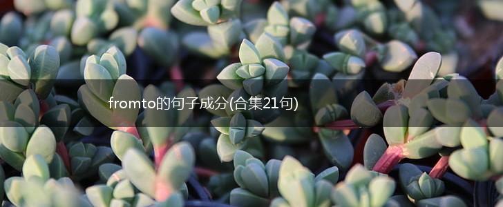 fromto的句子成分(合集21句),第1张