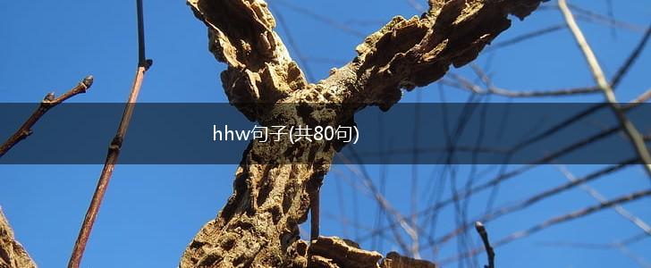hhw句子(共80句),第1张
