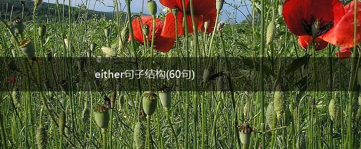 either句子结构(60句),第1张