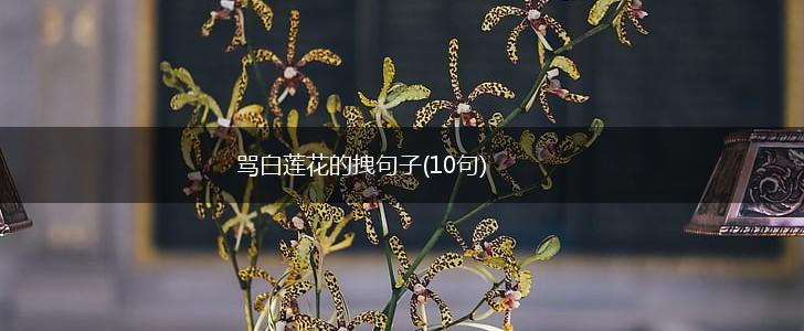 骂白莲花的拽句子(10句),第1张