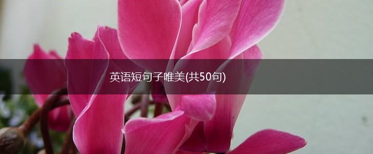 英语短句子唯美(共50句),第1张