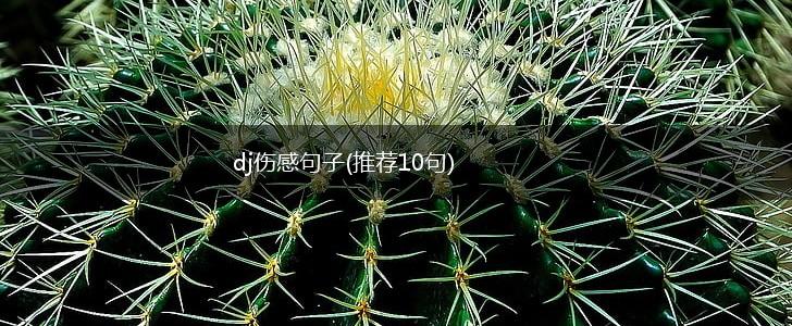 dj伤感句子(推荐10句),第1张