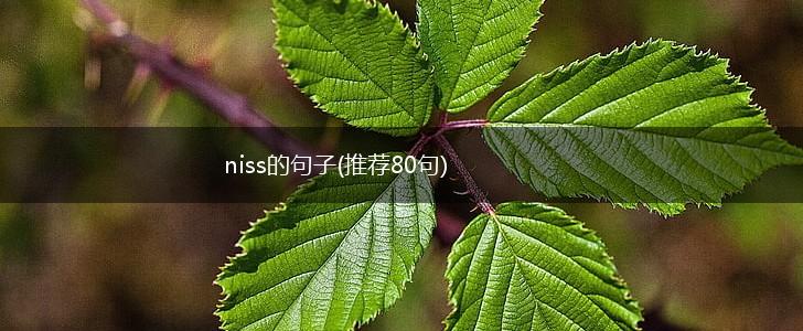 niss的句子(推荐80句),第1张