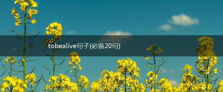 tobealive句子(必备20句),第1张