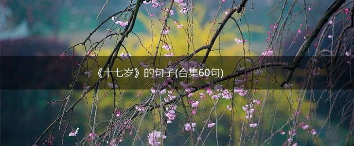 《十七岁》的句子(合集60句),第1张
