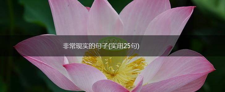 非常现实的句子(实用25句),第1张