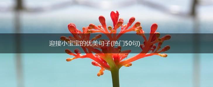 迎接小宝宝的优美句子(热门50句),第1张