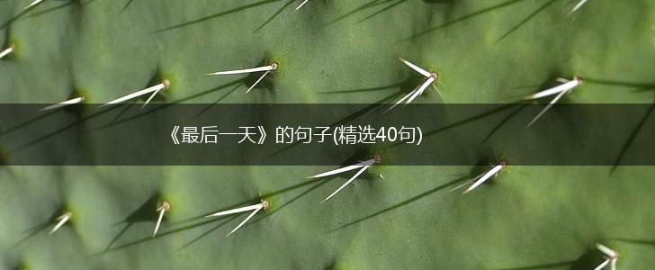 《最后一天》的句子(精选40句),第1张