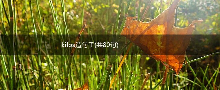 kilos造句子(共80句),第1张