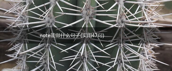 note能做什么句子(实用47句),第1张
