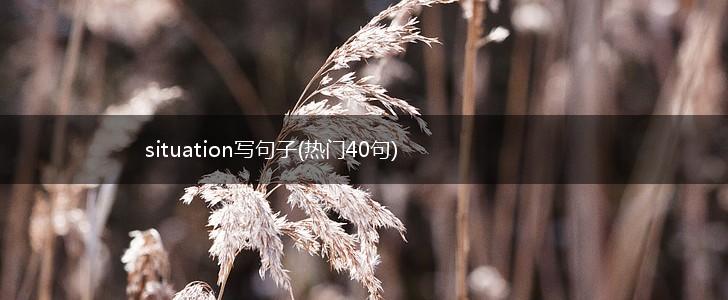 situation写句子(热门40句),第1张