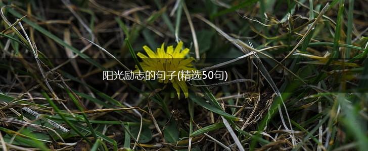 阳光励志的句子(精选50句),第1张