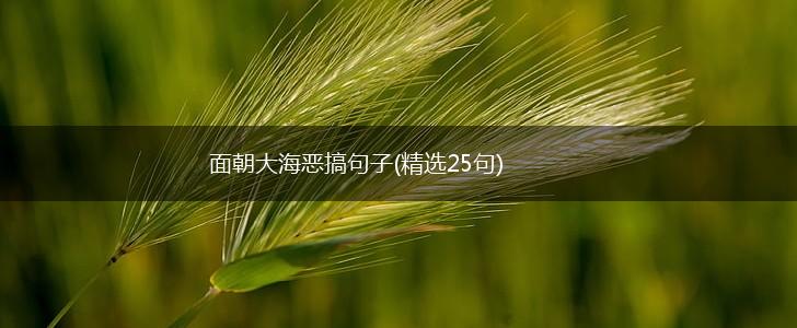 面朝大海恶搞句子(精选25句),第1张
