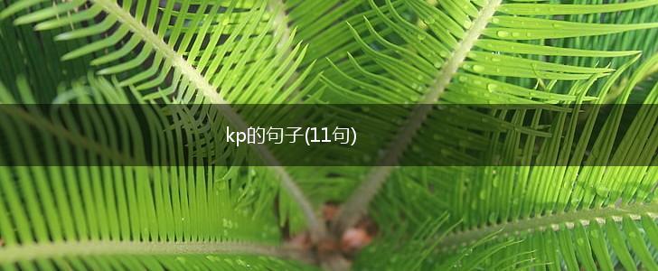 kp的句子(11句),第1张