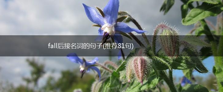 fall后接名词的句子(推荐81句),第1张