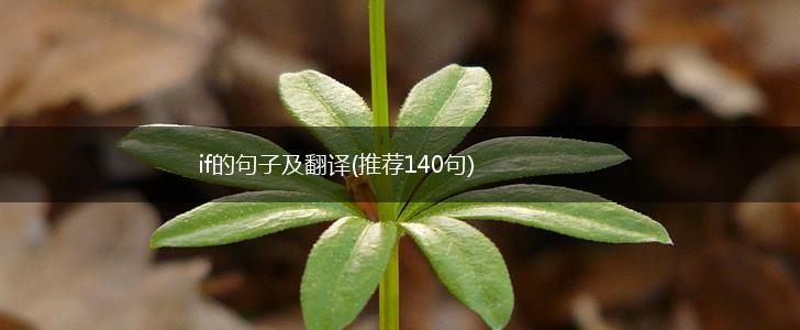 if的句子及翻译(推荐140句),第1张