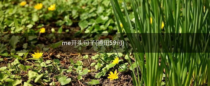 me开头句子(通用59句),第1张
