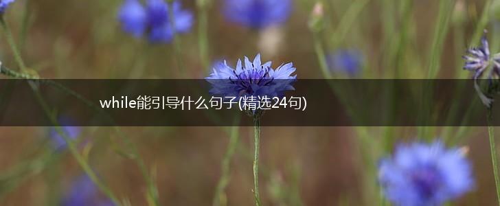 while能引导什么句子(精选24句),第1张