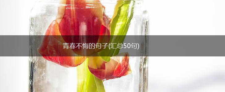 青春不悔的句子(汇总50句),第1张