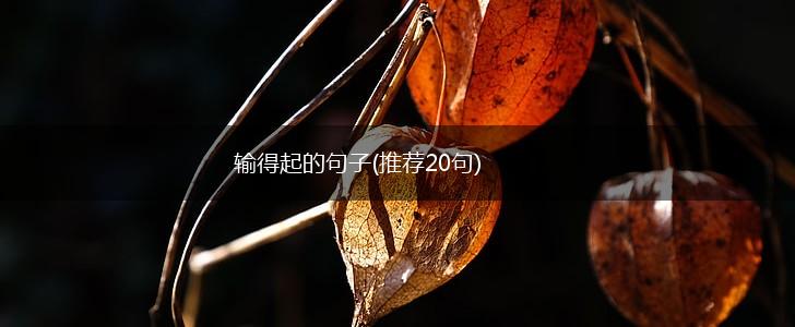 输得起的句子(推荐20句),第1张