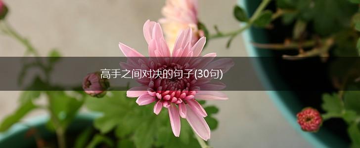 高手之间对决的句子(30句),第1张