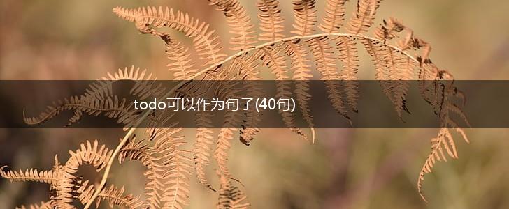 todo可以作为句子(40句),第1张