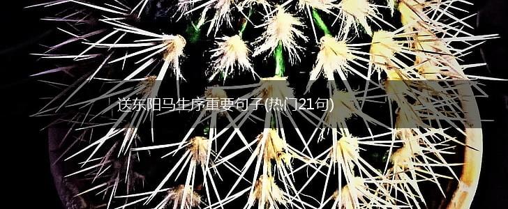 送东阳马生序重要句子(热门21句),第1张