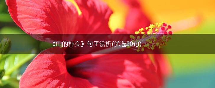 《山的朴实》句子赏析(优选20句),第1张
