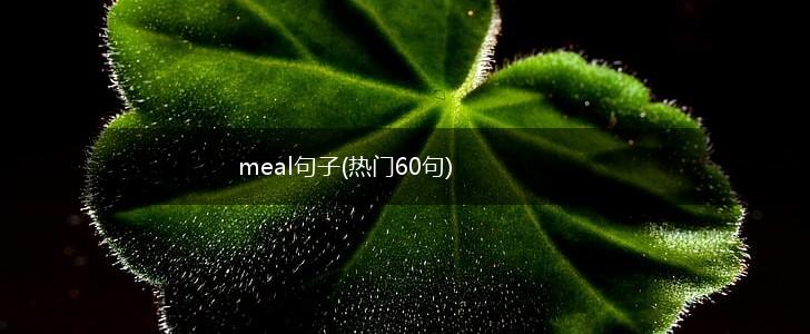 meal句子(热门60句),第1张