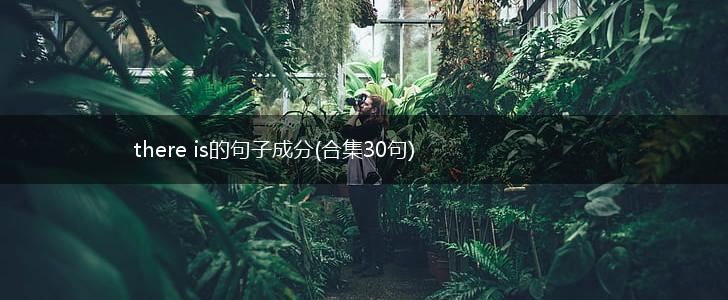 there is的句子成分(合集30句),第1张
