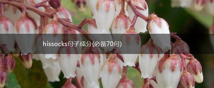 hissocks句子成分(必备70句),第1张