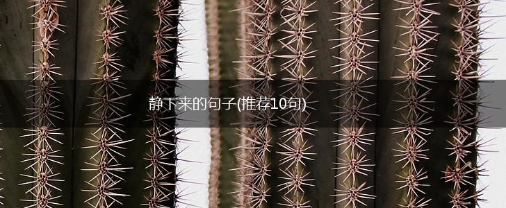 静下来的句子(推荐10句),第1张
