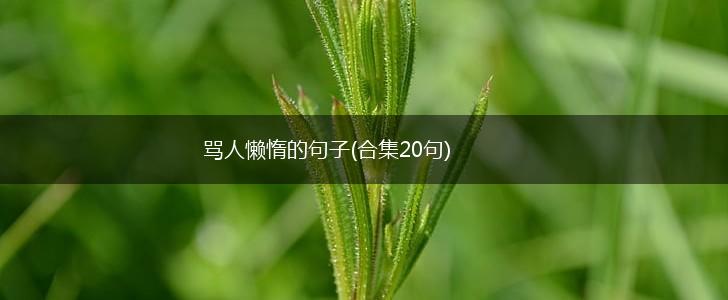 骂人懒惰的句子(合集20句),第1张