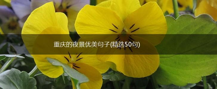 重庆的夜景优美句子(精选50句),第1张