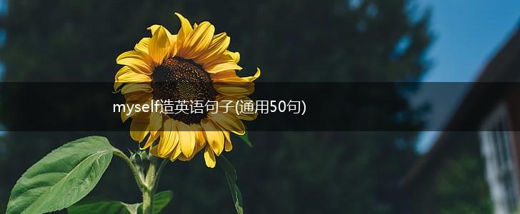 myself造英语句子(通用50句),第1张